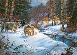 Пазли CherryPazzi Долина тіней, 1000 елементів, 50x70 см, 30301