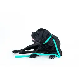 Повідець для собак водостійкий Waudog Waterproof світонакоплювальний L-XXL,Ш 25 мм Д 122 см - мініатюра 7