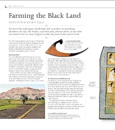 The Definitive Visual History. Ancient Egypt - мініатюра 3