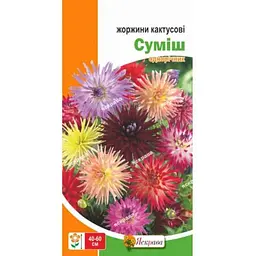 Жоржина ЯСКРАВА кактусові суміш (20 пачок) 0,2г