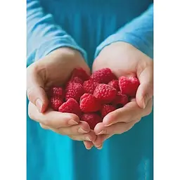 Саджанець Agro-Market Малина Недосяжна (ремонтантний зимостійкий великоплідний сорт) 2 шт. в упаковці (44812) - мініатюра 4