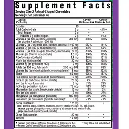 Мультивітаміни для дітей Bluebonnet Nutrition Rainforest Animalz зі смаком винограду 90 цукерок - мініатюра 2