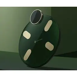 Розумні ваги Haylou Smart Body Fat Scale (CM01) - мініатюра 2