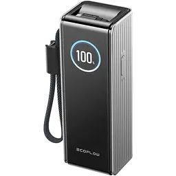 Павербанк EcoFlow RAPID Power Bank з кабелями Gray 25 000 mAh / 170 Вт (EF-RAPID25K100W-S-EU)