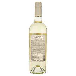 Вино Tierra Telteca Torrontes біле сухе 0.75 л - мініатюра 2