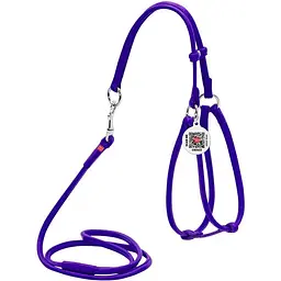 Шлея з повідцем для собак Waudog Glamour, шкіряна, кругла, з QR паспортом, 42-60х46-64х0,6/105 см, фіолетовий (34029)