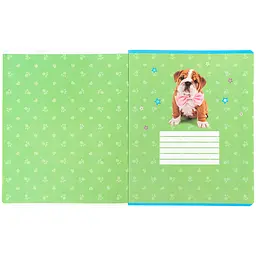 Зошит  Kite Studio Pets в клітинку 24 аркуші зелений - мініатюра 2