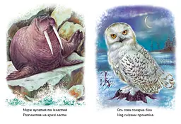 Дитяча книжка Малятам про звіряток: Тварини світу Ранок М212014У shop (9786170978677) - мініатюра 4