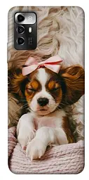 TPU чохол Demsky Sleepy spaniel для ZTE Blade A72