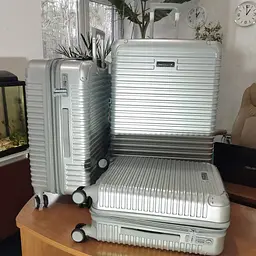 Валіза Swissbrand Rome L Silver (SWB_LHROM002L) - мініатюра 5