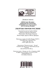Лікарські овочеві рослини - Ганна Яцук - мініатюра 5