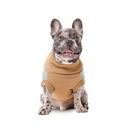 В'язаний светр Pet Fashion Rich для собак такса S - мініатюра 3