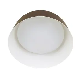Світильник настінно-стельовий світлодіодний накладний Brille BL-598C/24W WW COF