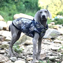 Світловідбивна зимова куртка для собак V.PET.B.R D58 camo 3XL - мініатюра 7