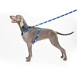 Шлея для собак Waudog Nylon анатомічна H-подібна з QR-паспортом, матеріал нейлон, малюнок "Прапор", пластиковий фастекс, розмір L - мініатюра 6