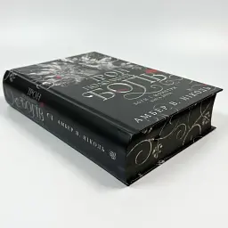 Трон подоланих богів - Амбер В. Ніколь | Навчальна книга - Богдан, книга українською, нова, тверда - мініатюра 3