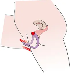 Стимулятор G-точки G-spot Labia Spreader - мініатюра 4