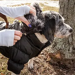 Куртка-парка Metallic Fashion Pet для собак - мініатюра 7