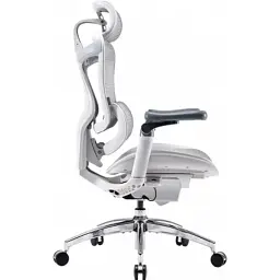 Офісне крісло Sihoo DORO C300 Pro Mesh White (DORO-C300-PRO-M102) - мініатюра 3