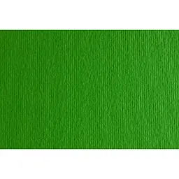 Папір для дизайну Fabriano Elle Erre А4 (21x29.7см) №11 verde 220г/м2 зелений дві текстури