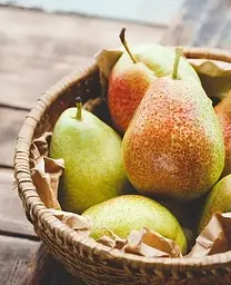 Саджанець Agro-Market Груша Ноябрська (ранньозимовий сорт, пізній термін дозрівання) (20917) 1 шт. в упаковці - мініатюра 2