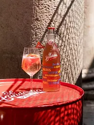 Вермут El Bandarra Rose рожевий солодкий 15% 1 л - мініатюра 6