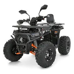 Квадроцикл бензиновий 125cc F/N/R 8 дюймів MP3 литі диски гідравлічні гальма до 82кг (AFN125-2-7)