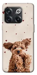 TPU чохол Demsky Сute doggy для OnePlus 10T