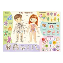 Навчальний постер з наклейками "Тіло людини" DoDo Toys 300901 XL 37 стікерів - мініатюра 3