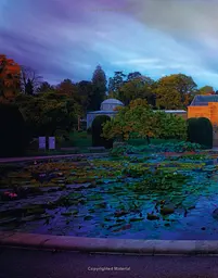 Greenhouses: Cathedrals for Plants - мініатюра 12