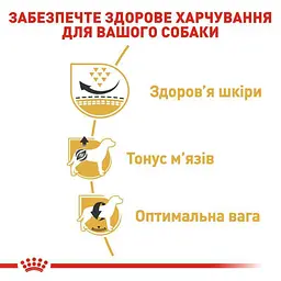 Сухий корм для дорослих собак породи Мопс Royal Canin Pug Adult, 7,5 кг (39857509) - мініатюра 6