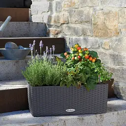 Вазон Lechuza Balconera Cottage, 8 л, мокко (15605) - мініатюра 6