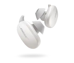 Навушники Bose QuietComfort Earbuds Soapstone (831262-0020) [99218] - мініатюра 3