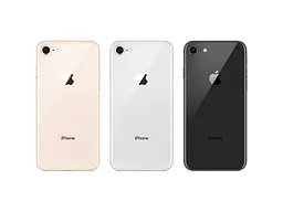 Смартфон Apple iPhone 8 256GB Silver (MQ7G2) - миниатюра 2