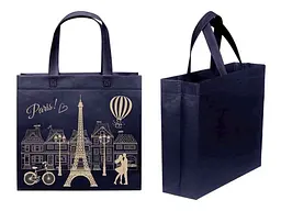 Еко сумка ECOBAG бокс з друком Paris із замком 320х270х100мм 400мм