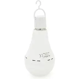 Лампочка Almina (DL-1025) 25W, 2700Лм, 6500K (DL-1025)