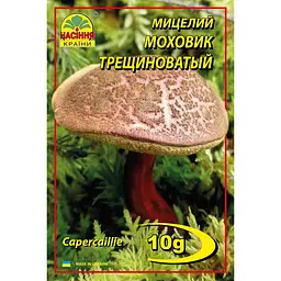 Моховик тріщинуватий (строкатий) 10 г