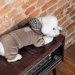 Костюм Pet Fashion Soft для собак, розмір M, коричневий (лімітована серія) - мініатюра 6