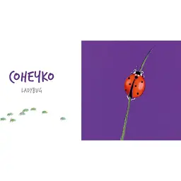 Збери веселку. Insects   - мініатюра 2
