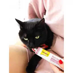 Ласощі для котів GimCat Malt-Soft Extra для виведення шерсті 50 г - мініатюра 7