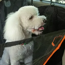 Автокрісло для собак складане Happy Dog 147 x 135 см Водонепроникне (GD-13) - мініатюра 3