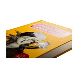 Книга Дракони, вперед! - Катя Штанко А-ба-ба-га-ла-ма-га (9786175850718) - мініатюра 5