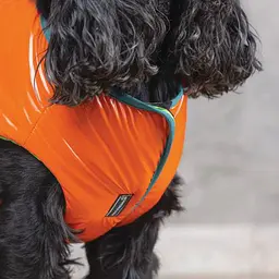 Жилет Pet Fashion Spring для собак, розмір XS2, помаранчевий - мініатюра 4