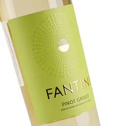 Вино Fantini Terre d’Abruzzo Pinot Grigio IGT біле сухе 10.5-15 % 0.75 л - мініатюра 5