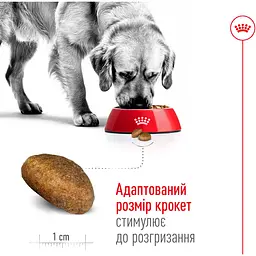 Сухий корм Royal Canin Maxi Adult для дорослих собак великих порід з м'ясом птиці та кукурудзою 15 кг - мініатюра 5