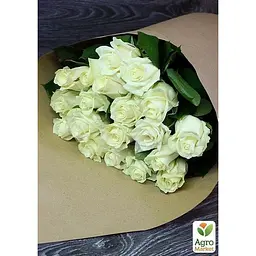 Троянда чайно-гібридна Agro-Market Магаді саджанець класу АА+ вищий сорт New 1 шт. в упаковці (45920) - мініатюра 2