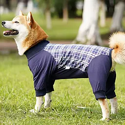 Комбінезон/попона для собак DoubleWin Recovery Suit Plaid Blue
