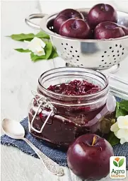 Саджанець Agro-Market Слива Анжеліна (осінній сорт, пізній термін дозрівання) 1 шт. в упаковці (20944) - мініатюра 3