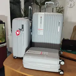 Валіза Swissbrand Narberth L Grey (SWB_LHNAR801L) - мініатюра 4