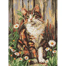 Алмазна мозаїка "Погляд милого кота" art_selena_ua Ideyka AMO20351, 30х40 см